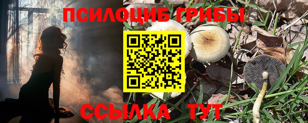 Псилоцибиновые грибы ЛСД Урюпинск